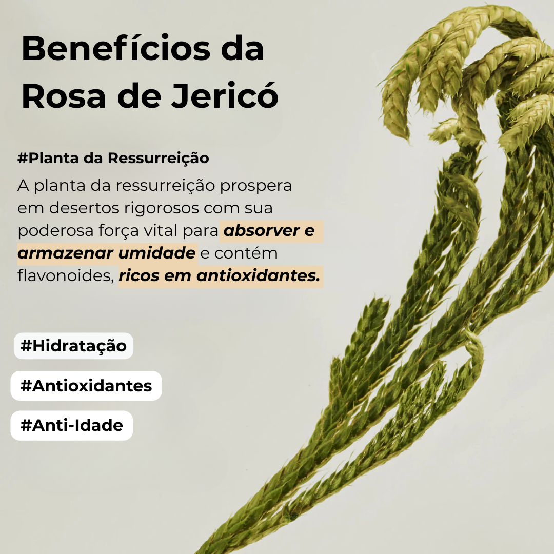 Máscara Noturna Abib Rice Probiotics Jelly